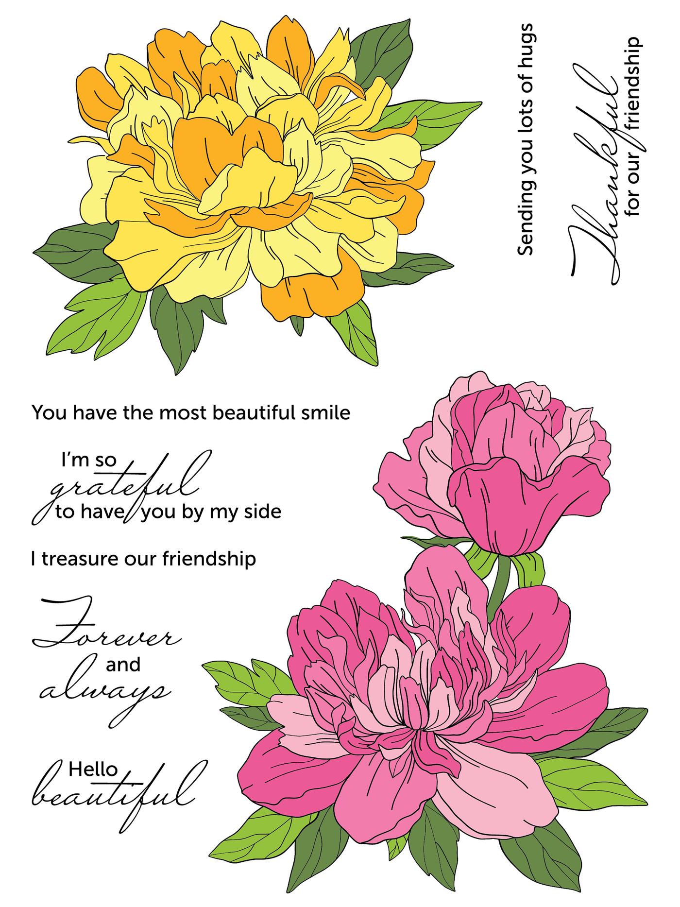 Tufted Petals 6x8 Stamps