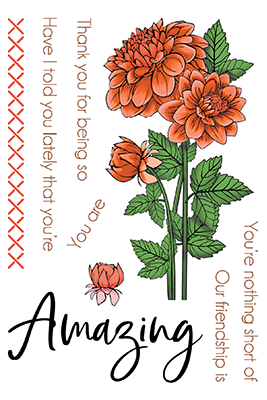 Dahlia 4x6 Stamps