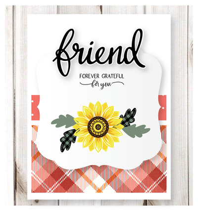 Practically Square Frame Set