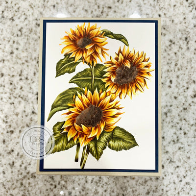 Sunshiny Day 4x6 Stamp Set