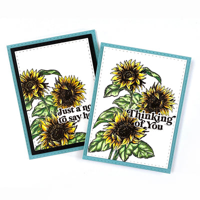 Sunshiny Day 4x6 Stamp Set